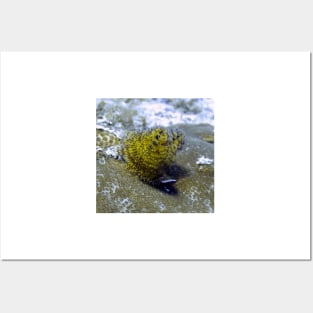 Yellow Christmas Tree Worm Posters and Art